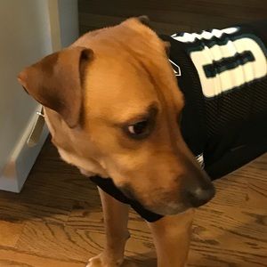 Meet your Posher, Jen